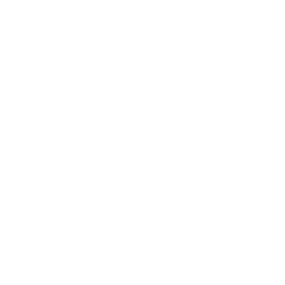 pixel-logo-white