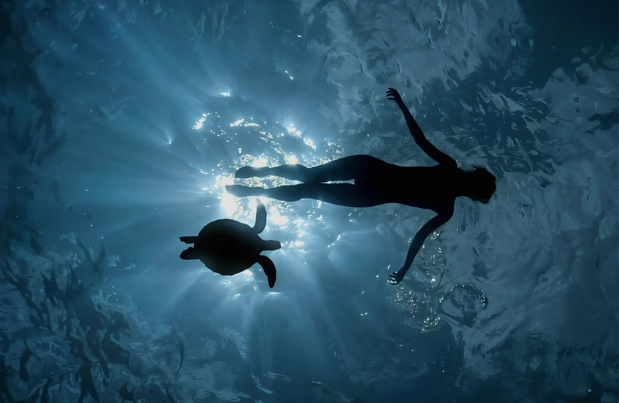 Four Seasons Saadeyat - Al Ain9