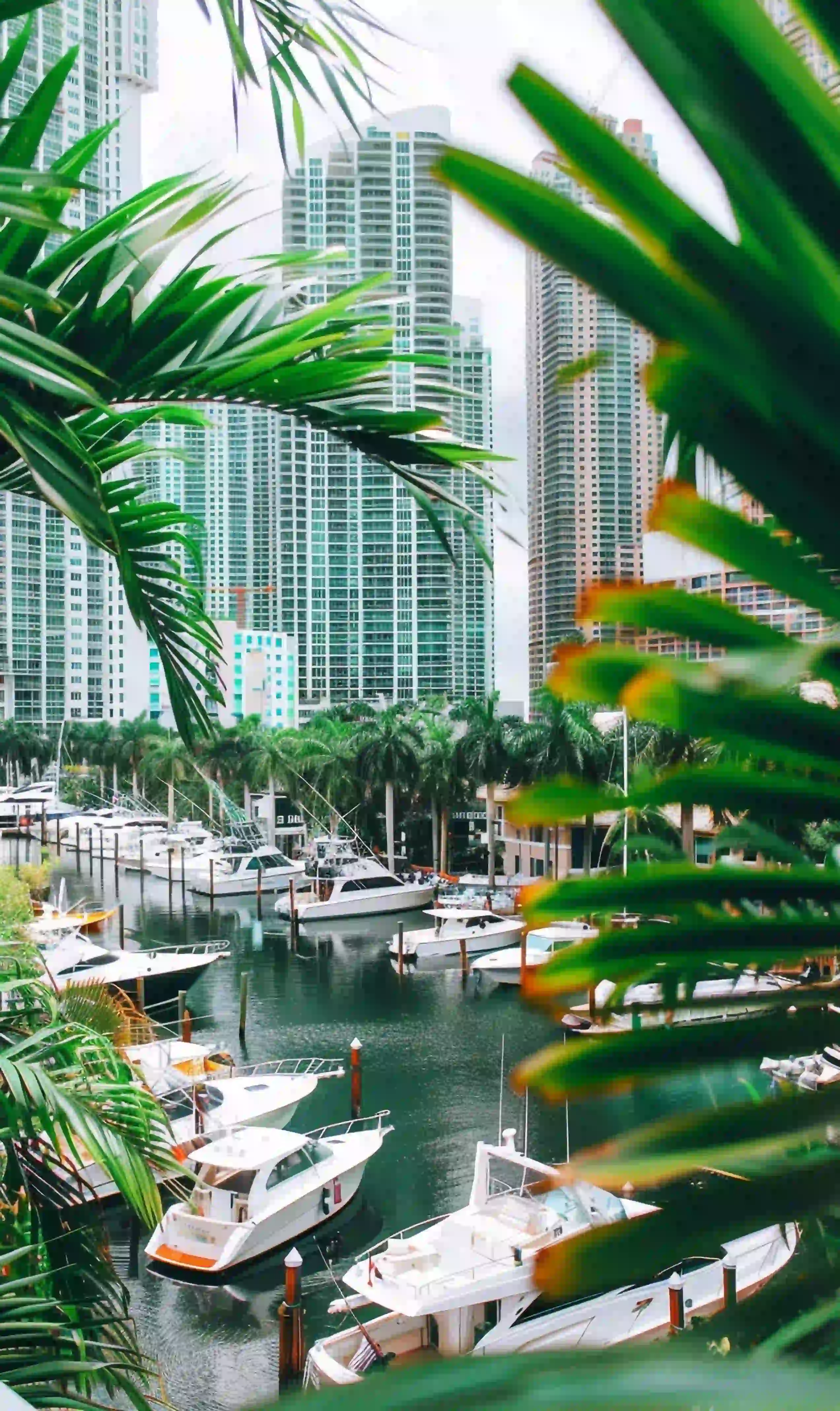 miami-bayside-landscape (1)